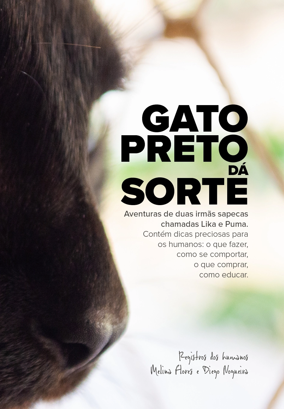 Gato Preto dá Sorte ok3